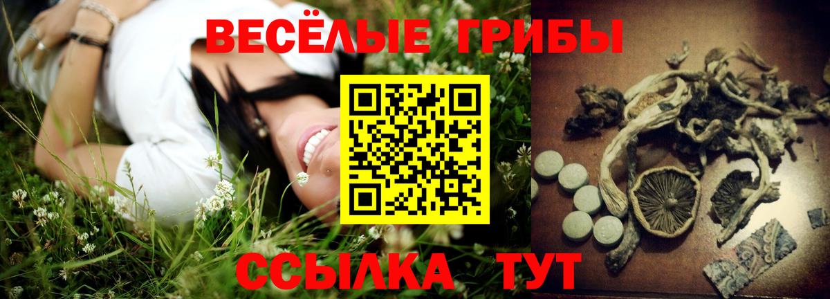 Галлюциногенные грибы мицелий Миасс